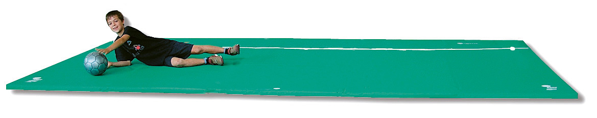 BGAP13